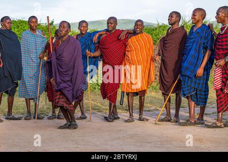 NGORONGORO, TANSANIA - 15. Februar 2020: Gruppe von masai-Leuten, die an einem traditionellen Tanz mit hohen Sprüngen teilnehmen, ausgewählter Fokus Stockfoto