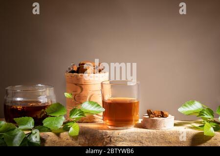 Heilgetränk aus Birkenpilz Chaga, Chaga-Pilzstücke, Zweige auf Holzplanke auf beiger Kulisse. Chaga Kaffee oder Tee. Starkes Antioxidans im Stockfoto