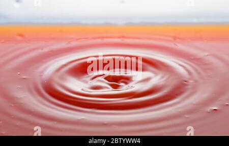 Kräuseln nach ein paar Tropfen Grapefruitsaft. Stockfoto