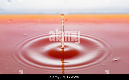 Kräuseln nach ein paar Tropfen Grapefruitsaft. Stockfoto