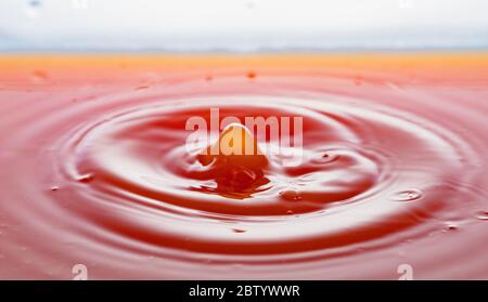 Kräuseln nach ein paar Tropfen Grapefruitsaft. Stockfoto