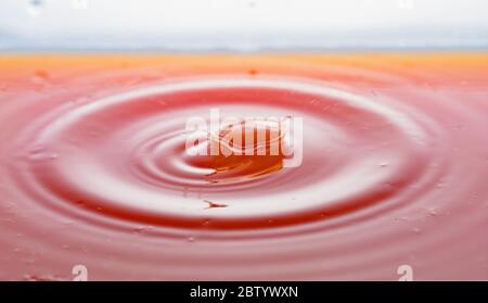 Kräuseln nach ein paar Tropfen Grapefruitsaft. Stockfoto