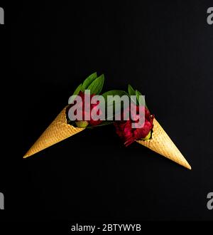 Rote Pfingstrosen Blüten mit grünen Blättern in Waffelzapfen. Draufsicht, Kopierbereich. Stockfoto