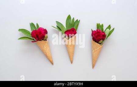 Waffelzapfen mit schönen roten Pfingstrose Blume und Blätter auf grauem Beton Hintergrund Stockfoto