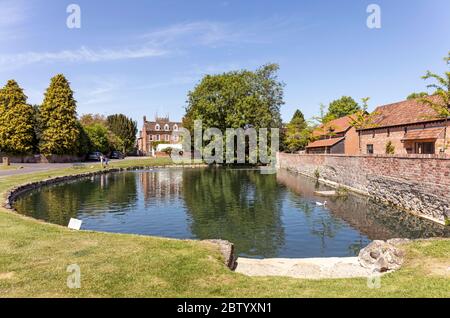 Der Duck Pond im Dorf Urchfont, Wiltshire, England, Großbritannien Stockfoto