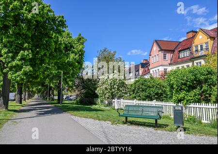 Flieder blüht im Garten der englischen Stadthäuser Häuser entlang der Südpromenade im Frühling in Norrkoping, Schweden. Stockfoto