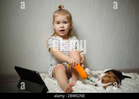 Kleines Mädchen spielt einen niedlichen Beagle Welpen Stockfoto