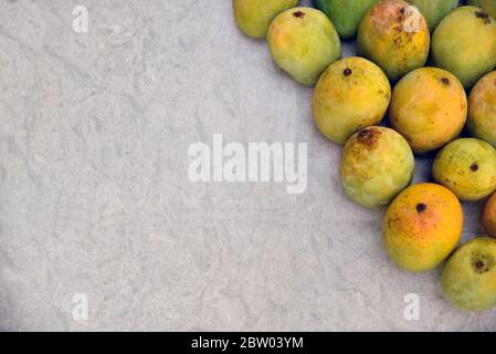 Frische Mangobst Fotos Stockfoto