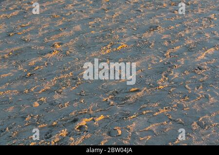 Der Sonnenschein erhellt den Sandstrand sanft. Bei Sonnenuntergang spiegelt sich der orangefarbene Glanz der Ostsee auf dem trockenen Sand am Strand von Kolobrzeg Stockfoto