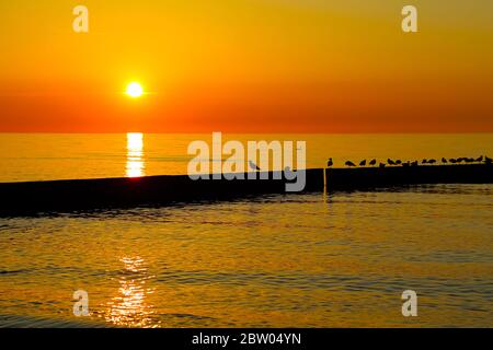 Sonnenschein nähert sich dem Horizont und das ist ein herrlicher Sonnenuntergang in Kolobrzeg an der Ostsee. Die dunkle Silhouette des Wellenbrecher mit Möwen sitzt Stockfoto