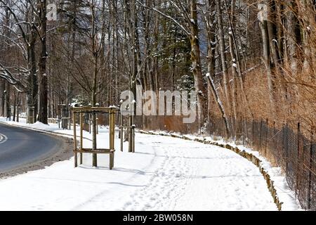Pflaster bedeckt mit Schnee entlang des Zauns mit Wald dahinter. Ein solcher Weg kann man in Zakopane, Polen, sehen. Stockfoto