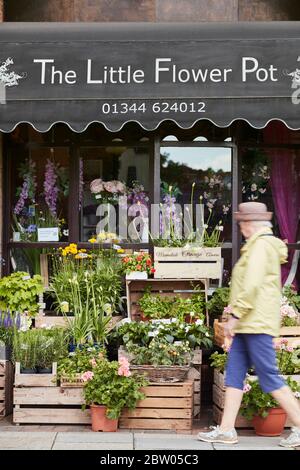 Die kleine Blumentopf Floristin in Sunninghill, Berkshire Stockfoto