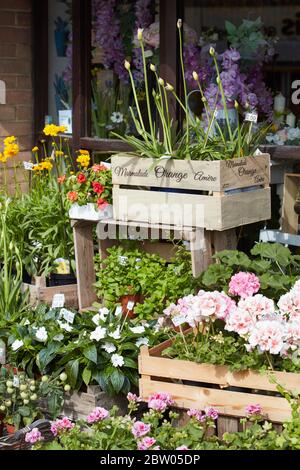 Die kleine Blumentopf Floristin in Sunninghill, Berkshire Stockfoto