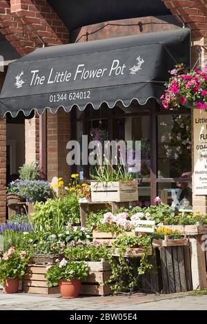 Die kleine Blumentopf Floristin in Sunninghill, Berkshire Stockfoto