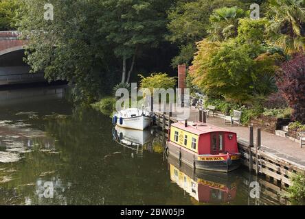 Kanalboote entlang des Flusses Wey, Weybridge, Hampshire Stockfoto