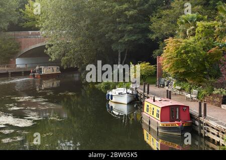 Kanalboote entlang des Flusses Wey, Weybridge, Hampshire Stockfoto