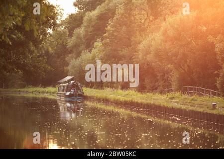 Kanalboote entlang des Flusses Wey, Weybridge, Hampshire Stockfoto