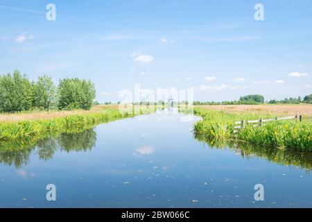 Landschaftlich schöne Polderlandschaft Hollands mit Wiesen und Gräben gefüllt mit Wasser. Traditionelle holländische Windmühle in der Ferne. Stockfoto