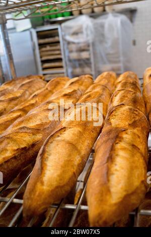 Bread Furst, eine Spezialitätenbäckerei im Van Ness-Forest Hills-Viertel in Washington, D.C. wurde 2017 von Mark Furstenberg eröffnet Stockfoto