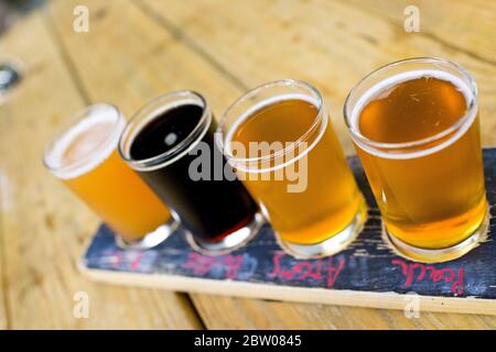 3 Sterne Brewing Company, Washington, D.C., USA Stockfoto