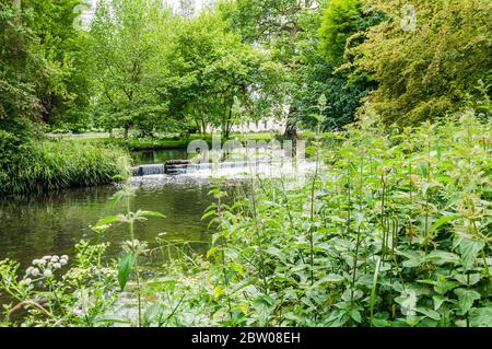 Blick auf den Fluss Wandle und Wehr, Morden Hall Park, London. Stockfoto