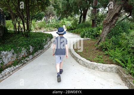 Rückansicht eines Jungen, der auf einem Fußweg zwischen Bäumen läuft Stockfoto