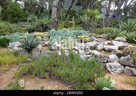 Steingarten in den Alameda Gärten in Gibraltar Stockfoto