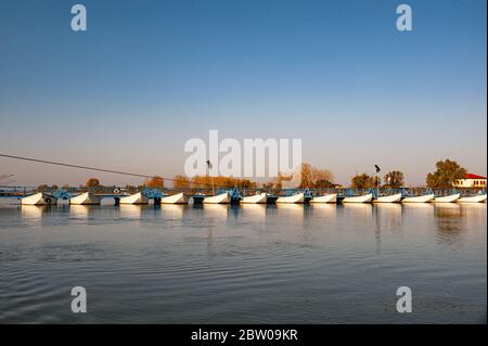 Italien Venetien Delta des Flusses Po Nationalpark - Sacca di Scardovari - Rohrdickicht Stockfoto