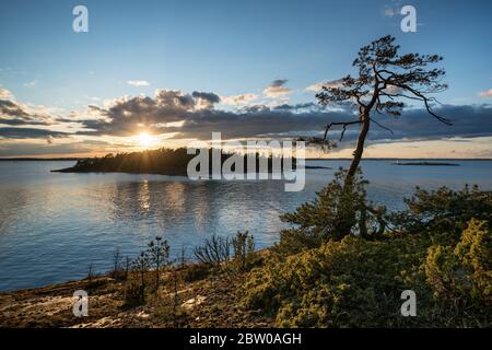 Abend auf der Insel Bylandet, Kirkkonummi, Finnland Stockfoto