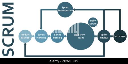 Scrum Framework Methodology Lebenszyklus flaches Diagramm Schema Infografiken mit Rückstand, Sprint, Planung, Überprüfung, Inkrement und retrospektiv. Stock Vektor