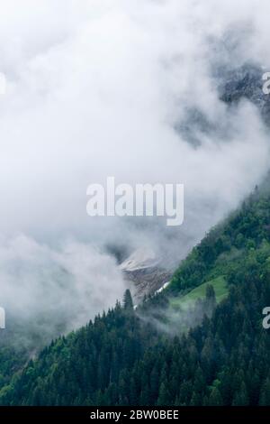 Der Blick auf den bewölkten Wald auf dem Berg Stockfoto