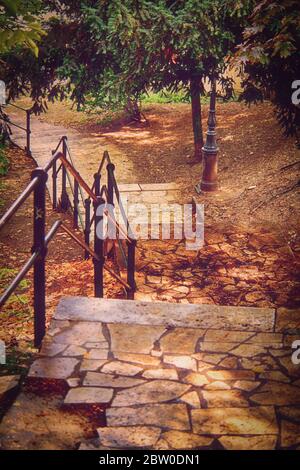 Herbsttreppe mit grünen Bäumen und gelben Blättern, die auf den Boden in einem Stadtpark gefallen sind. Stockfoto