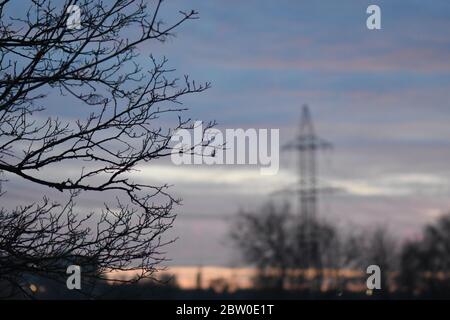 Baumspitze Silhouette in Sonnenuntergang Strahlen Stockfoto