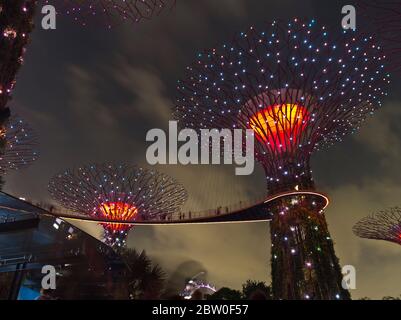 dh Supertree Grove GARDEN BY THE BAY SINGAPUR Supertrees Nachtlicht Show Super Tree in Sky Gardens Stockfoto