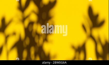 Hinterlässt Schatten auf gelbem Pastellpapier. Abstrakter Backgorund. Stock Foto. Stockfoto
