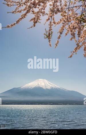 Blick auf den Mt. Fuji Symbol von Japan und Yamanaka See mit Kirschblüten Stockfoto Stockfoto