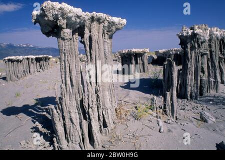 Sand Tuffstein am Mono Lake State Reserve, Mono Basin National Scenic Area, Marine Beach, California Stockfoto