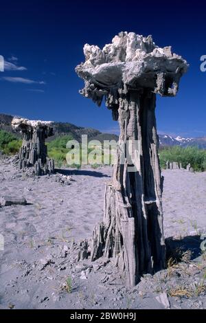 Sand Tuffstein am Mono Lake State Reserve, Mono Basin National Scenic Area, Marine Beach, California Stockfoto