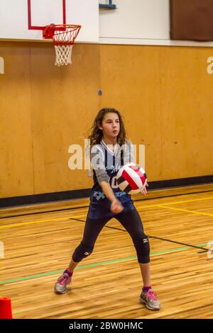 Mädchen Volleyball, 8 bis 10 Jahre alt, servieren. Stockfoto