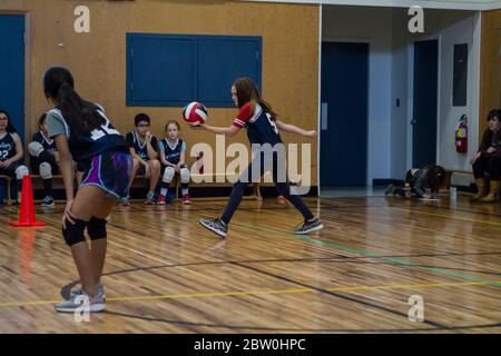 Mädchen Volleyball, 8 bis 10 Jahre alt, servieren. Stockfoto