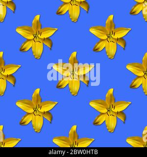 Wiederholen nahtlosen Muster von gelben Blüten. Tageslilie Hemerocallis 'Hyperion' auf blauem Hintergrund. Flach im Lay-Design. Kann gekachelt werden Stockfoto