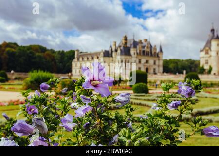 23. Juli 2017, Schloss Chenonceau. Frankreich. Fassade des mittelalterlichen Damenschlosses. Königliche mittelalterliche Burg Chenonceau Park und Garten. Chenonceau Stockfoto