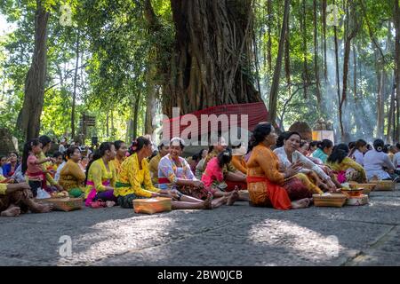 Ubud, Bali, Indonesien - 5. Mai 2018: Zahlreiche balinesische Frauen tragen traditionelle Kleidung und schneiden bei einer traditionellen Zeremonie auf dem Boden Stockfoto