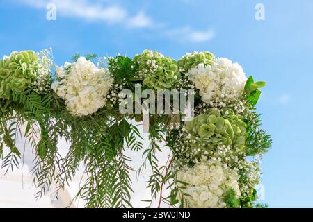 Eine Hochzeit mit einem luxuriösen Bogen aus frischen Blumen an einem sonnigen Tag vor einem blauen Himmel dekoriert. Nahaufnahme. Stockfoto