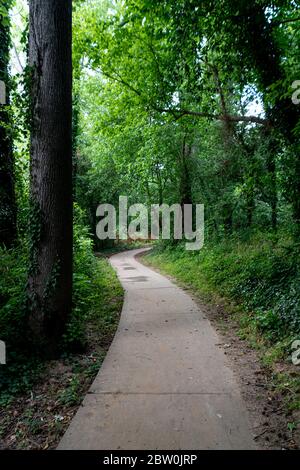 Ein gepflasterter Betonweg durch einen grünen Wald Stockfoto