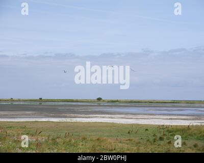 Vögel über einer wunderschönen Landschaft Stockfoto