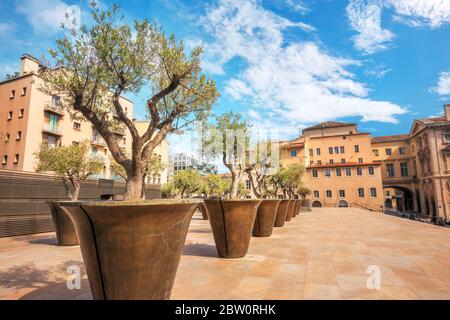 Schöne Terrasse mit kleinen Bäumen in Blumentöpfen. Städtisches Architekturdesign im historischen Viertel Le Panier.Marseille, Frankreich Stockfoto