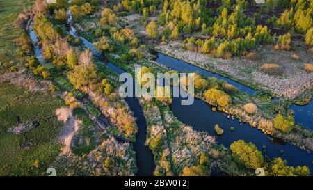 Schöne Luftaufnahme auf kleinen ländlichen Flüssen und Waldbäumen von oben, Sommer-Wasserlandschaft im Sonnenuntergang Licht Stockfoto