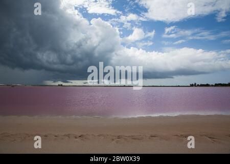 Blick auf eine rosa Lagune mit dramatischem Himmel, Las Coloradas, Yucatan, Mexiko. Stockfoto