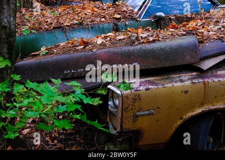 Stapel von zerstörten Autos Stockfoto
